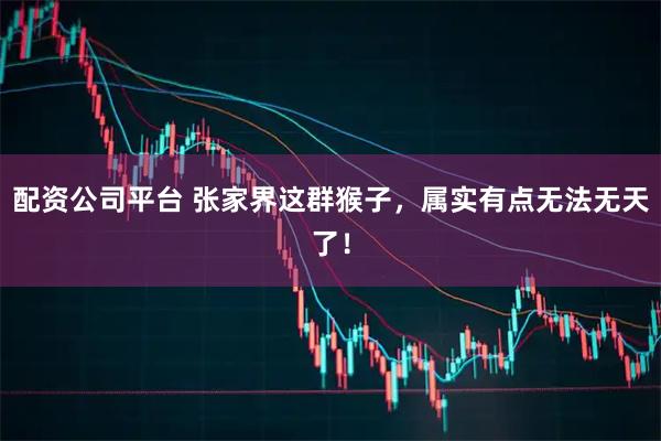 配资公司平台 张家界这群猴子，属实有点无法无天了！